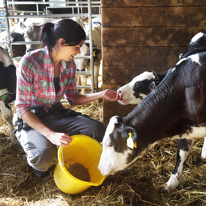 HERO IMAGE / AG Lending - Crop and Livestock Financing