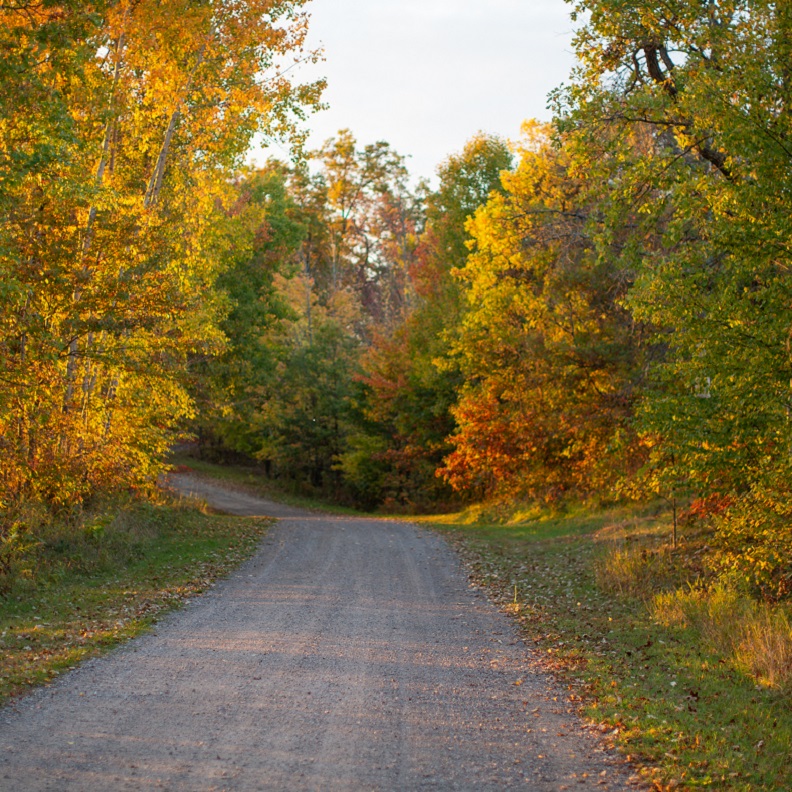 CUSTOMER STORY IMAGE / Burnett County 792x792