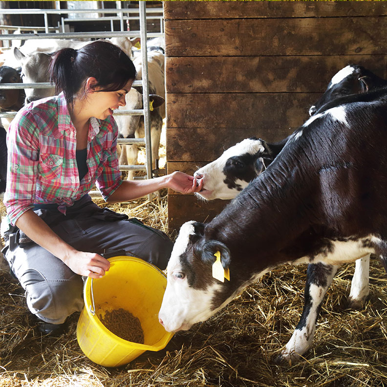 INSIGHT IMAGE / AGRICULTURE dairy female farmer 792x792