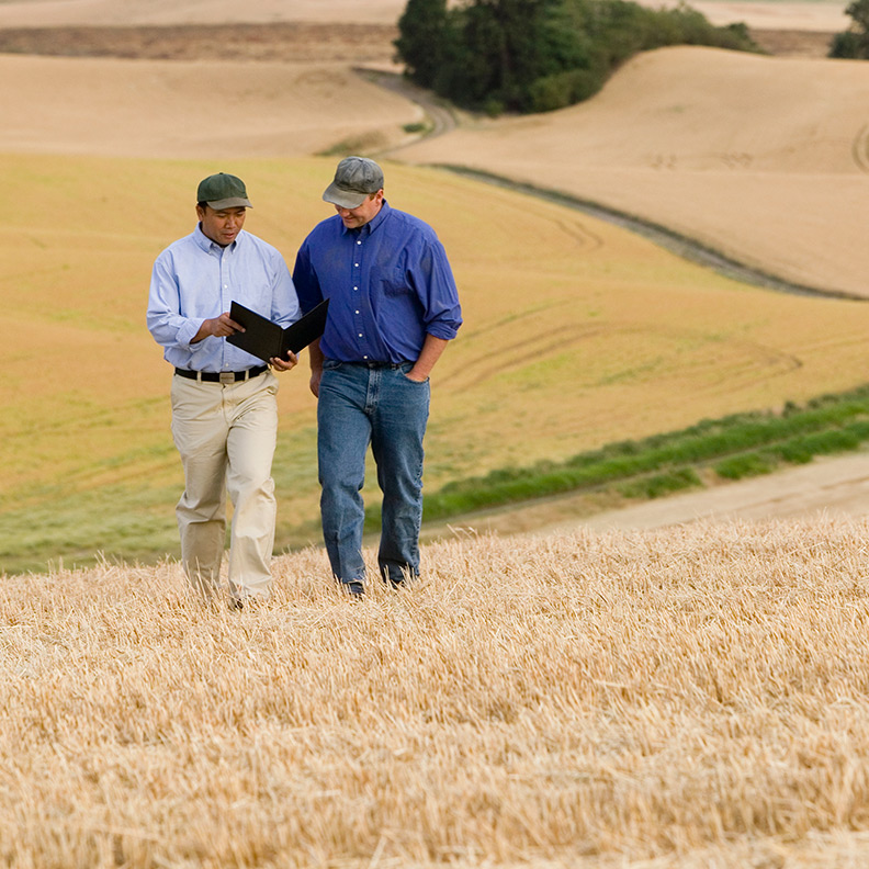 InsuranceAdvisor Farmer Field 792x792